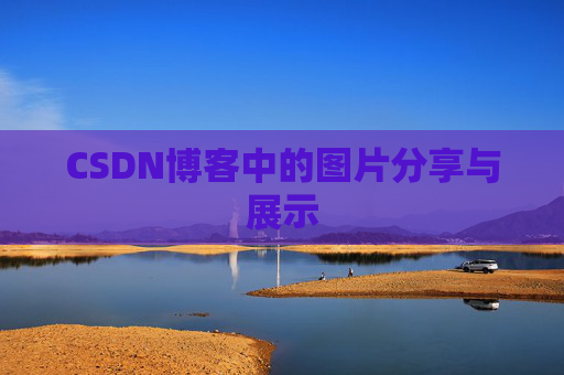 CSDN博客中的图片分享与展示